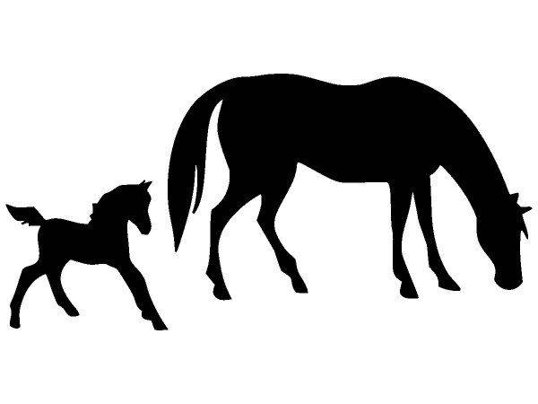 Животные 2019