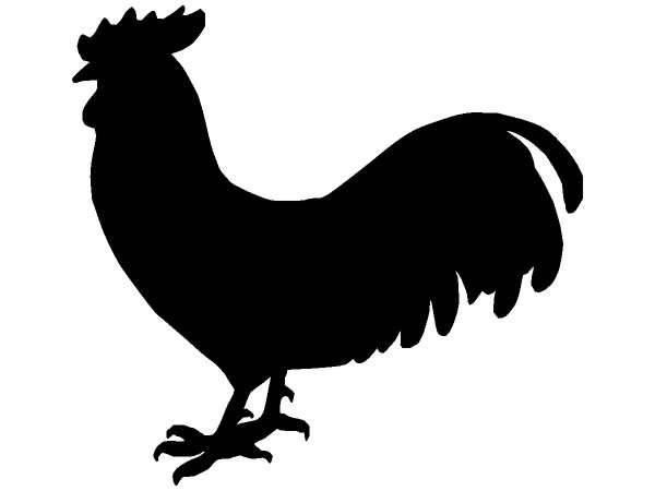 Животные 212