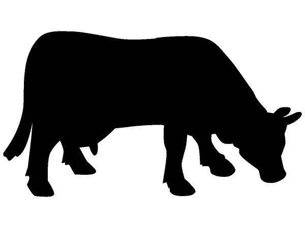 Животные 2276 Животные 2276