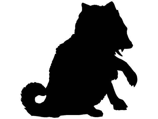 Животные 3423 Животные 3423