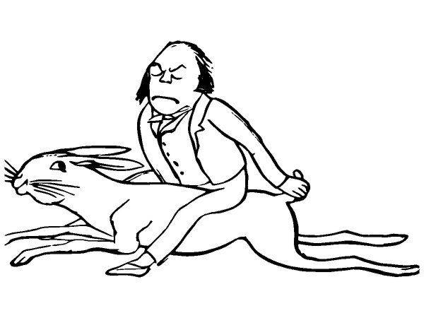 Животные 3433 Животные 3433