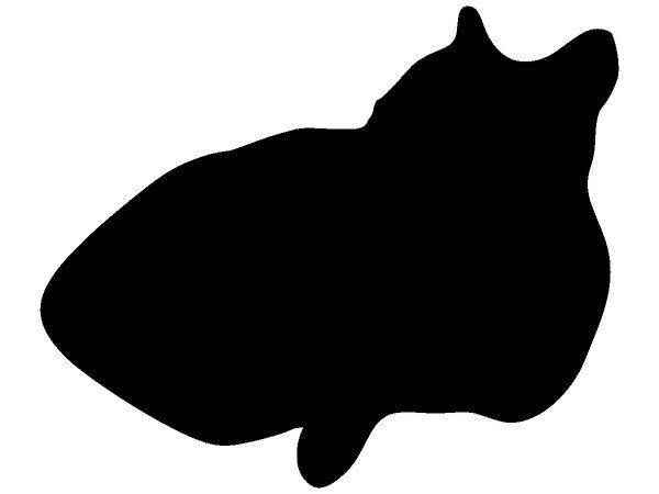 Животные 604