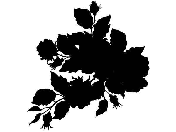 Цветы 538