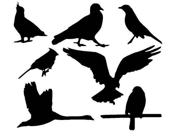 Животные 2710