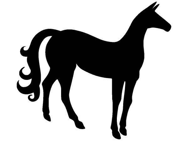 Животные 3569 Животные 3569