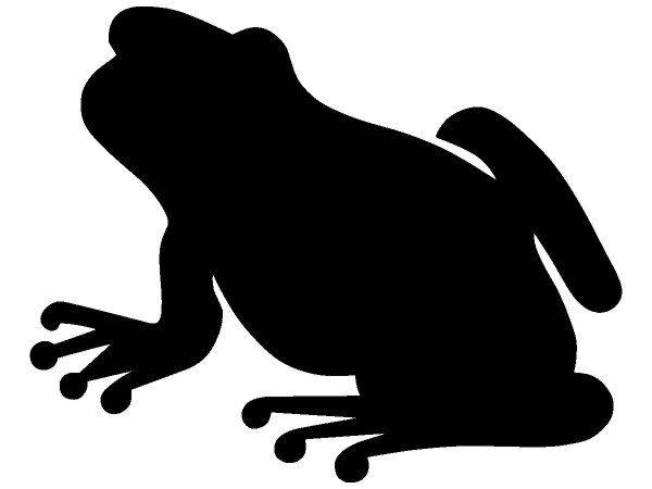 Животные 121 Животные 121