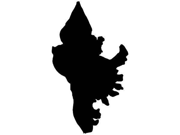 Животные 3904 Животные 3904