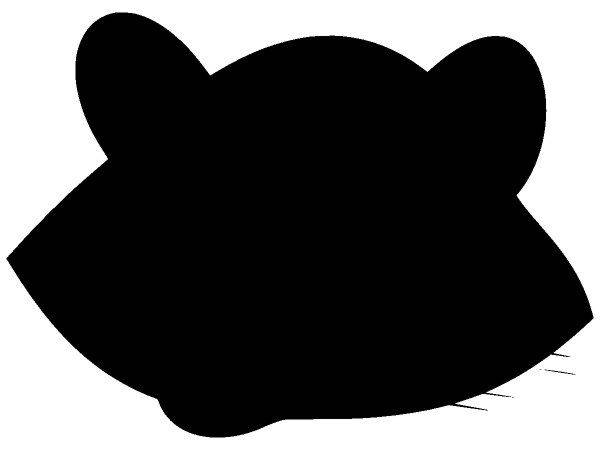 Животные 2555