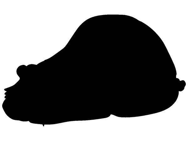 Животные 4030