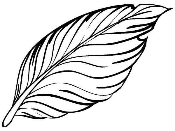 Животные 1164