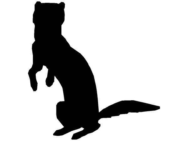 Животные 362