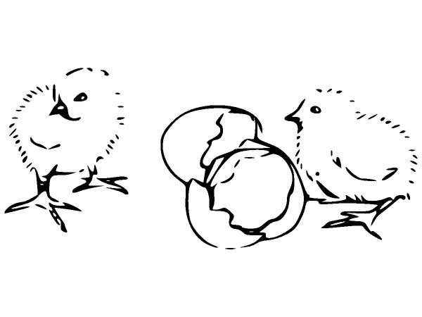 Животные 281