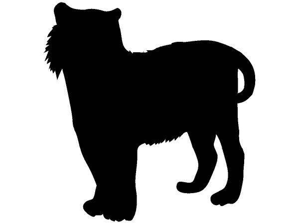 Животные 644