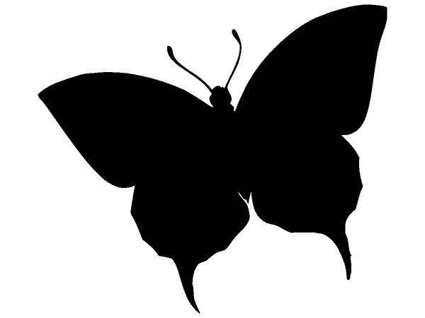 Животные 2954 Животные 2954