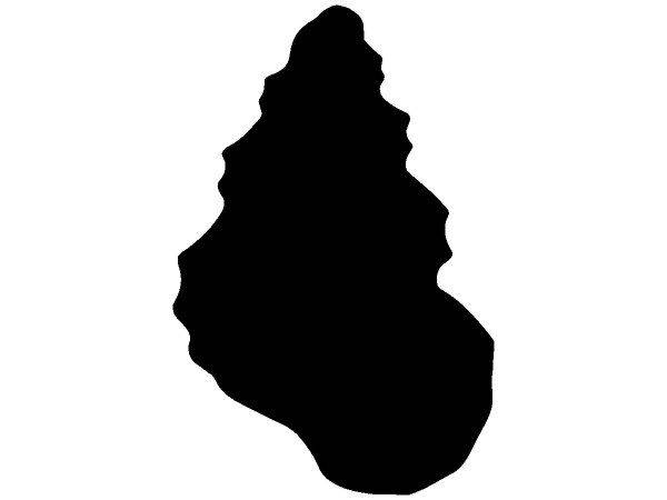 Животные 3993