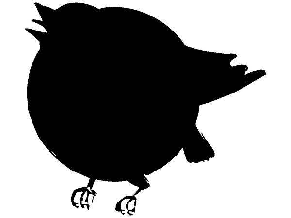 Животные 2509