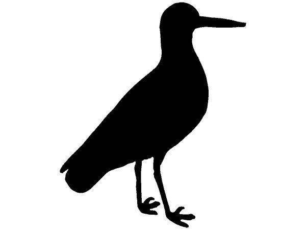 Животные 2799 Животные 2799