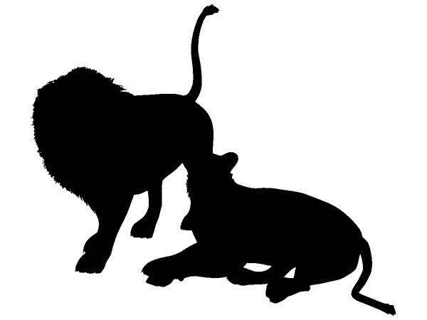 Животные 3536 Животные 3536