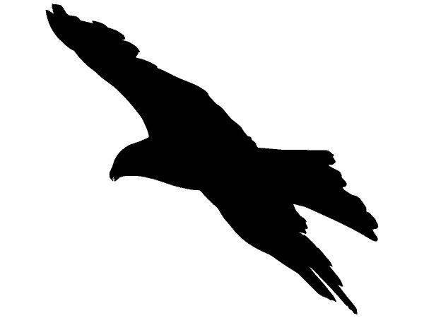 Животные 3980