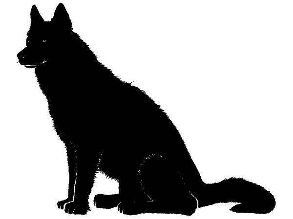 Животные 4044