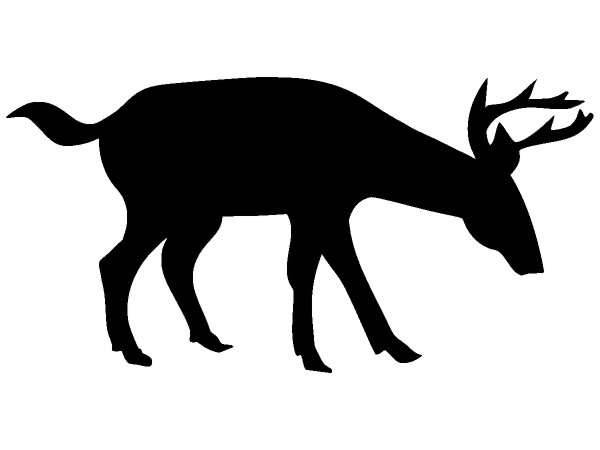 Животные 177