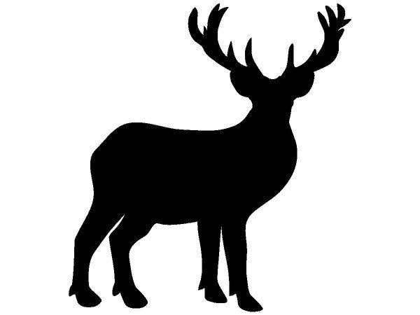 Животные 2947 Животные 2947