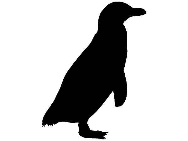 Животные 4187