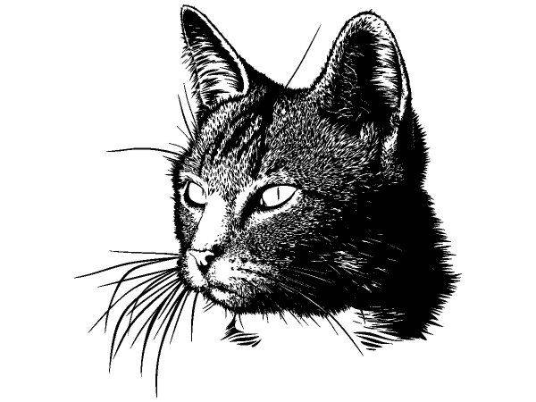 Животные 3362 Животные 3362