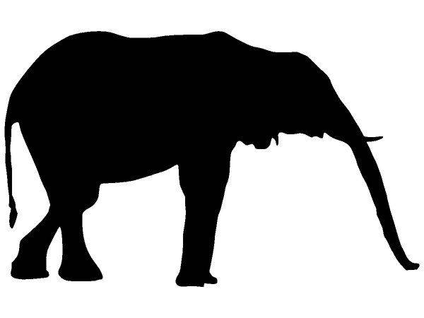 Животные 3376 Животные 3376