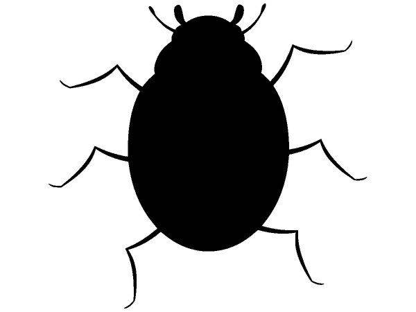 Животные 1262