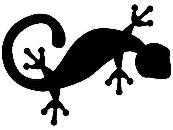 Животные 1698