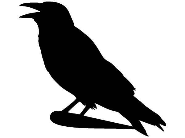 Животные 142