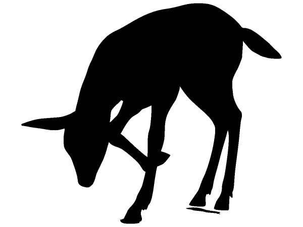 Животные 1201