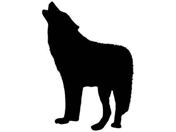 Животные 4255 Животные 4255