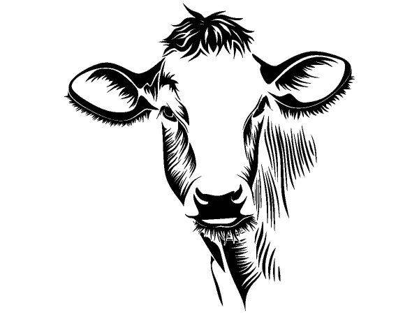 Животные 3337 Животные 3337