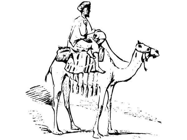 Животные 926