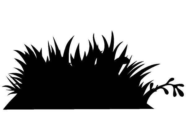 Животные 2085