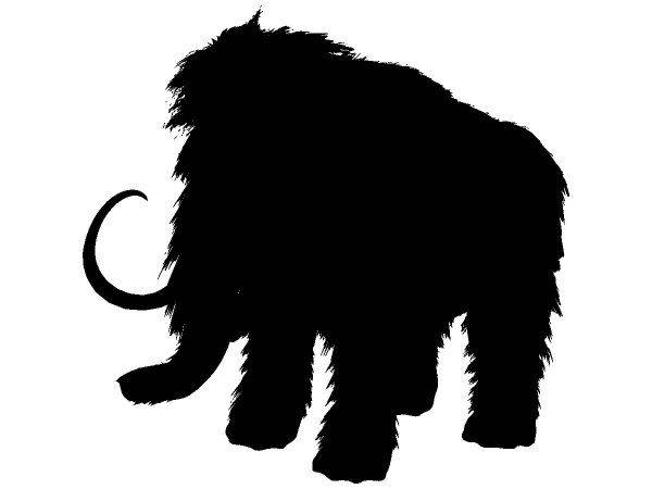 Животные 4029