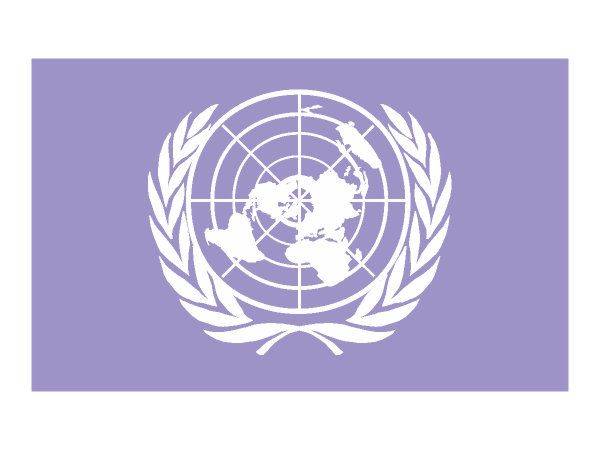 Unated Nations logo