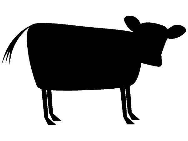 Животные 2834