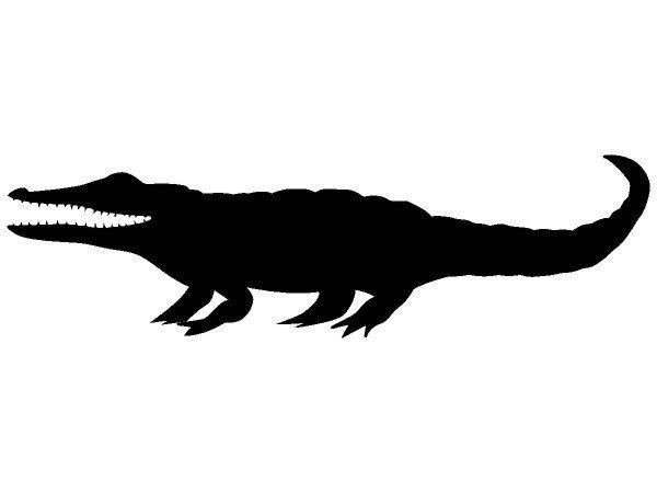 Животные 3649 Животные 3649