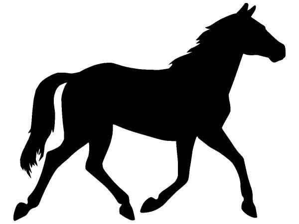 Животные 386