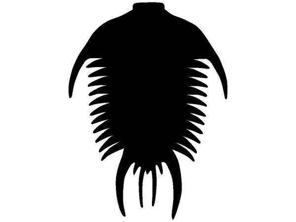 Животные 166