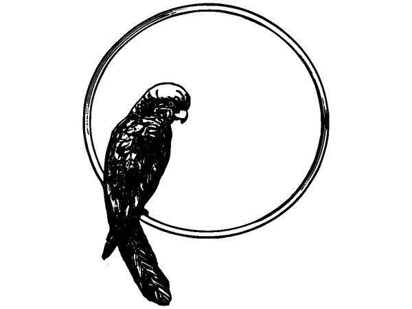 Животные 2490 Животные 2490