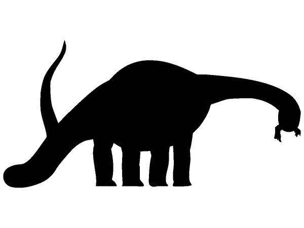 Животные 570 Животные 570