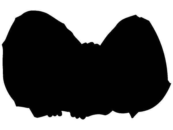 Животные 742 Животные 742