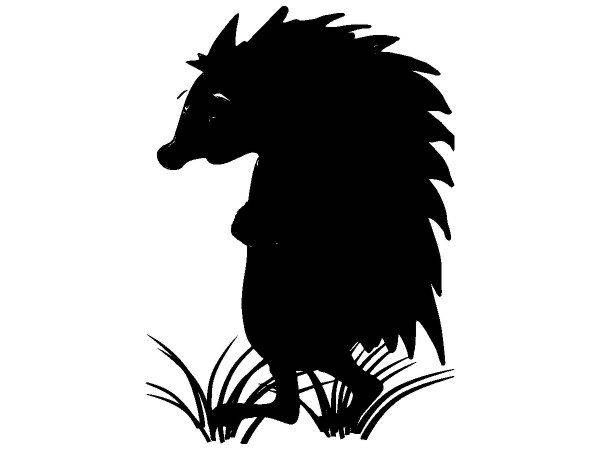 Животные 2330