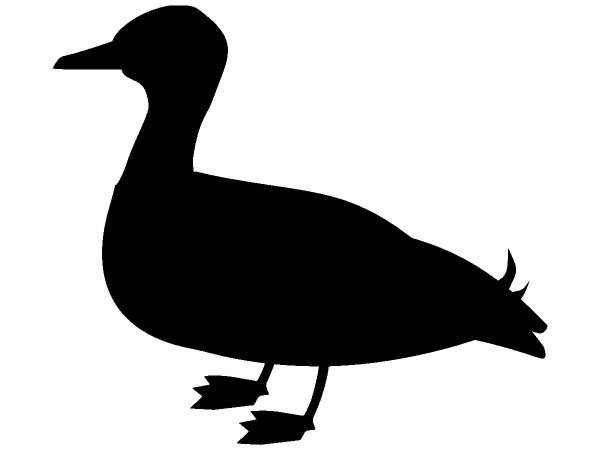 Животные 221