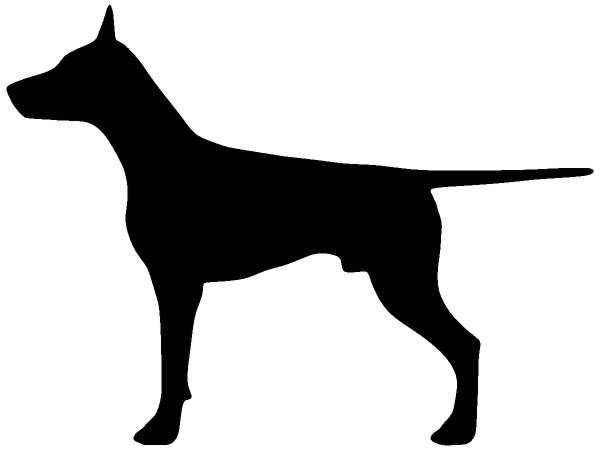 Животные 965