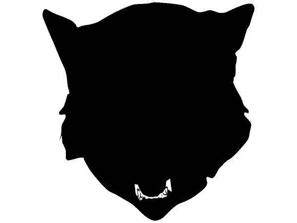 Животные 1538